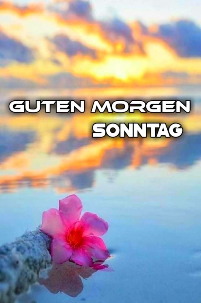 Guten Morgen Bild Sonntag