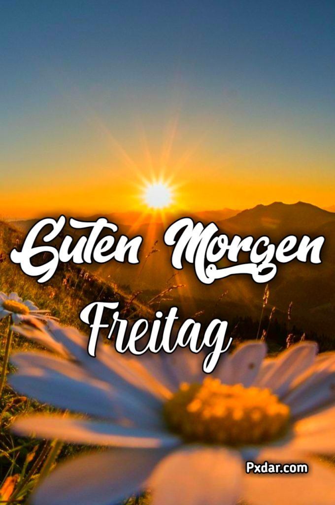 Guten Morgen Bilder Freitag Neu