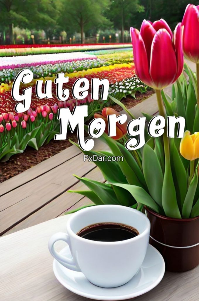 Guten Morgen Bilder Lustig