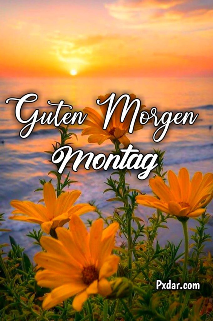 Guten Morgen Bilder Montag Kostenlos