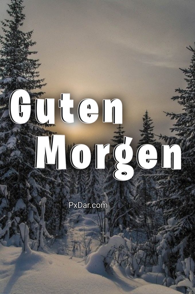 Guten Morgen Bilder Winter