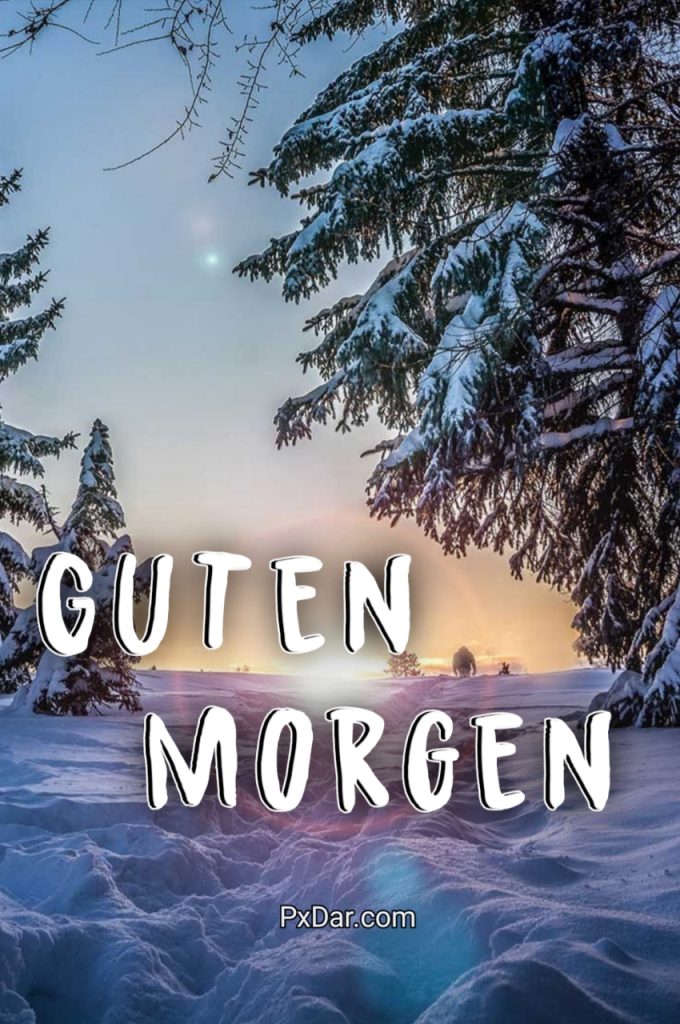 Guten Morgen Bilder Winter Kostenlos Für Whatsapp