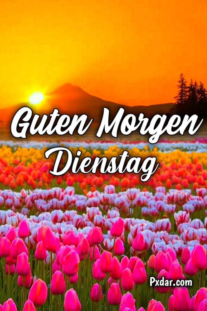 Guten Morgen Dienstag