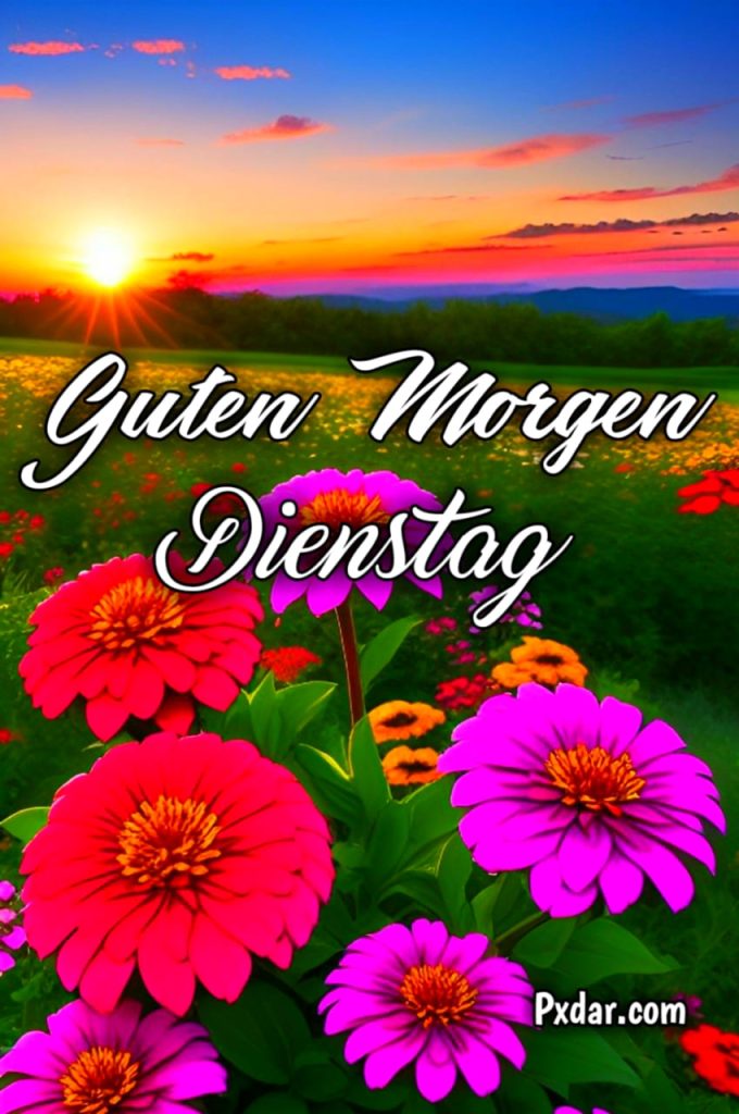 Guten Morgen Dienstag Bilder Kostenlos