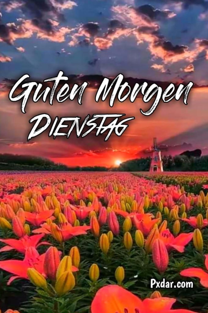 Guten Morgen Dienstag Bilder Whatsapp Kostenlos