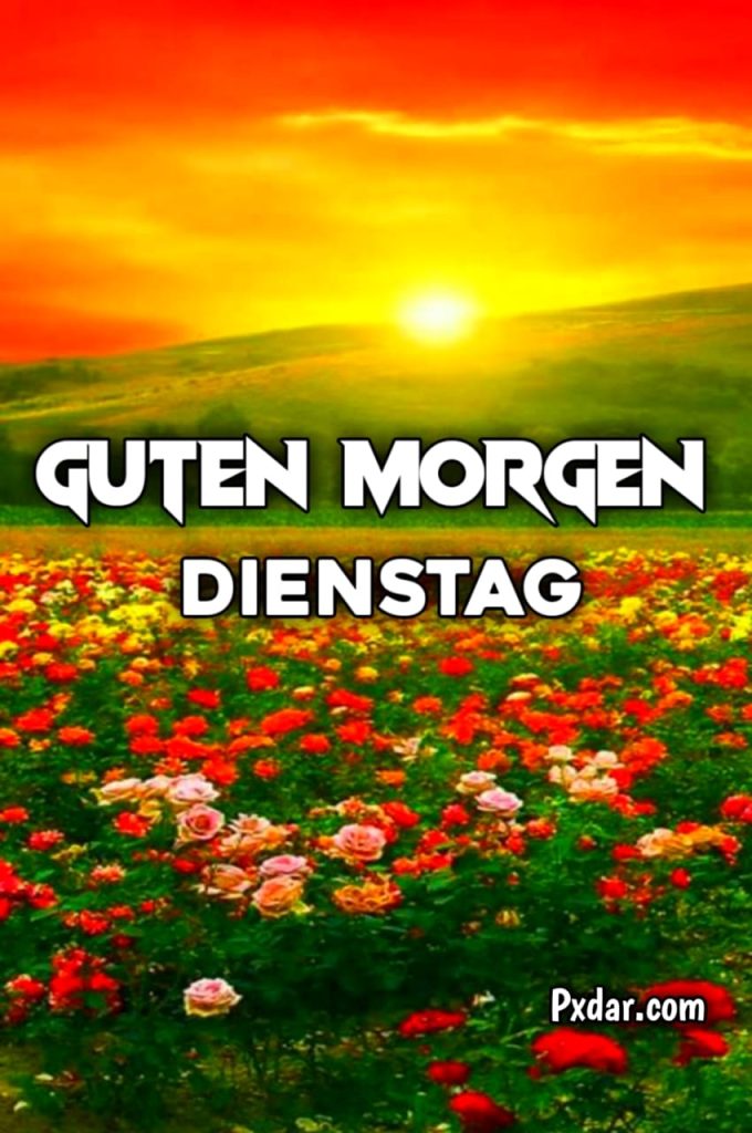 Guten Morgen Dienstag Gifs