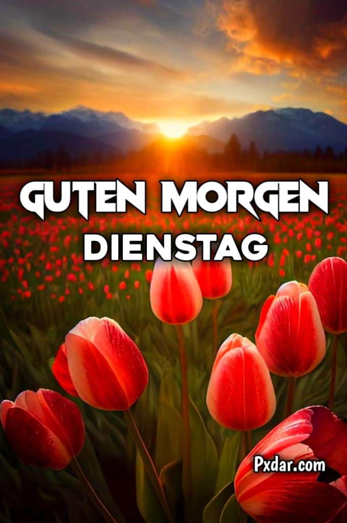 Guten Morgen Dienstag Kostenlos