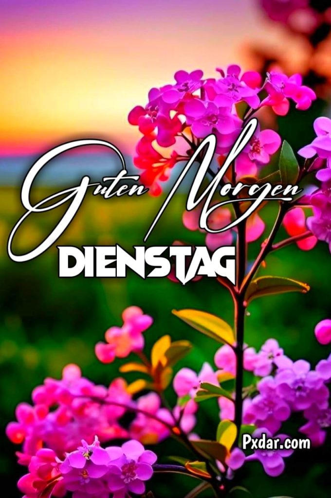 Guten Morgen Dienstag Lustig