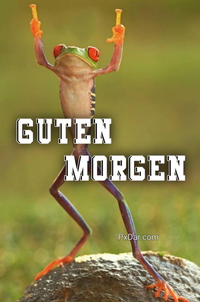 Guten Morgen Dienstag Lustig