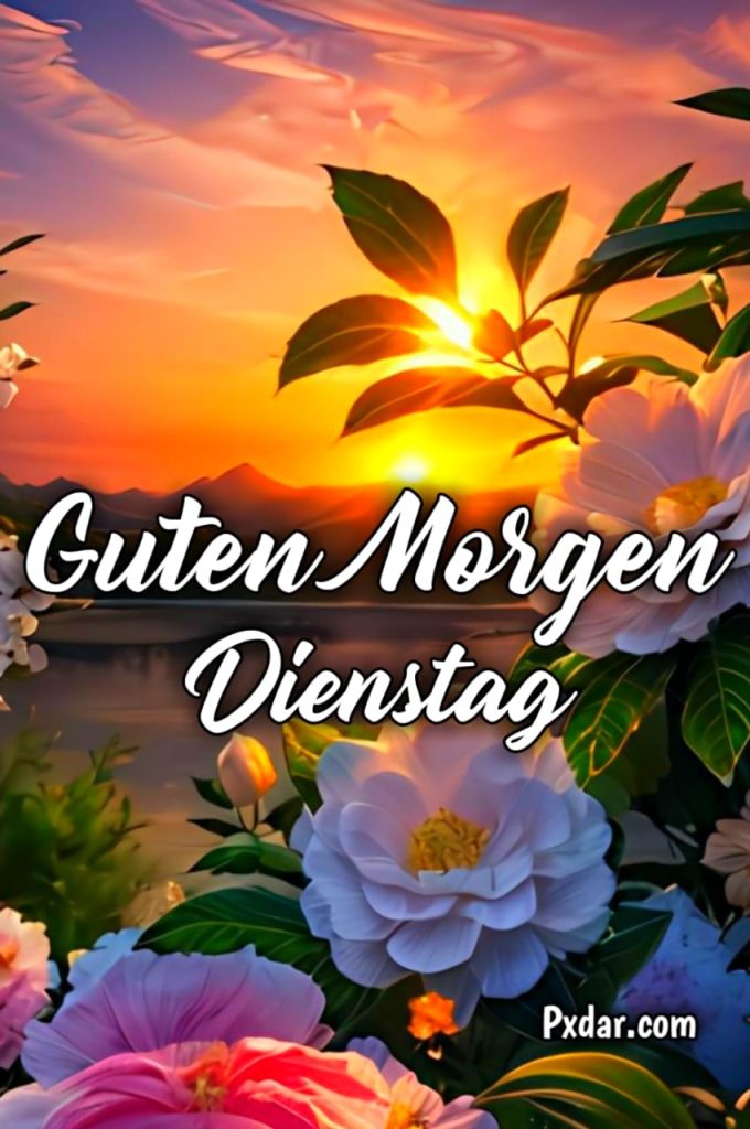 Guten Morgen Dienstag Lustig Kostenlos