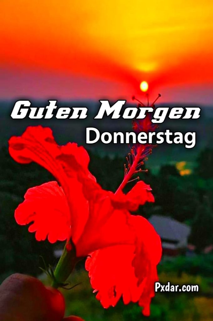 Guten Morgen Donnerstag Gif Kostenlos