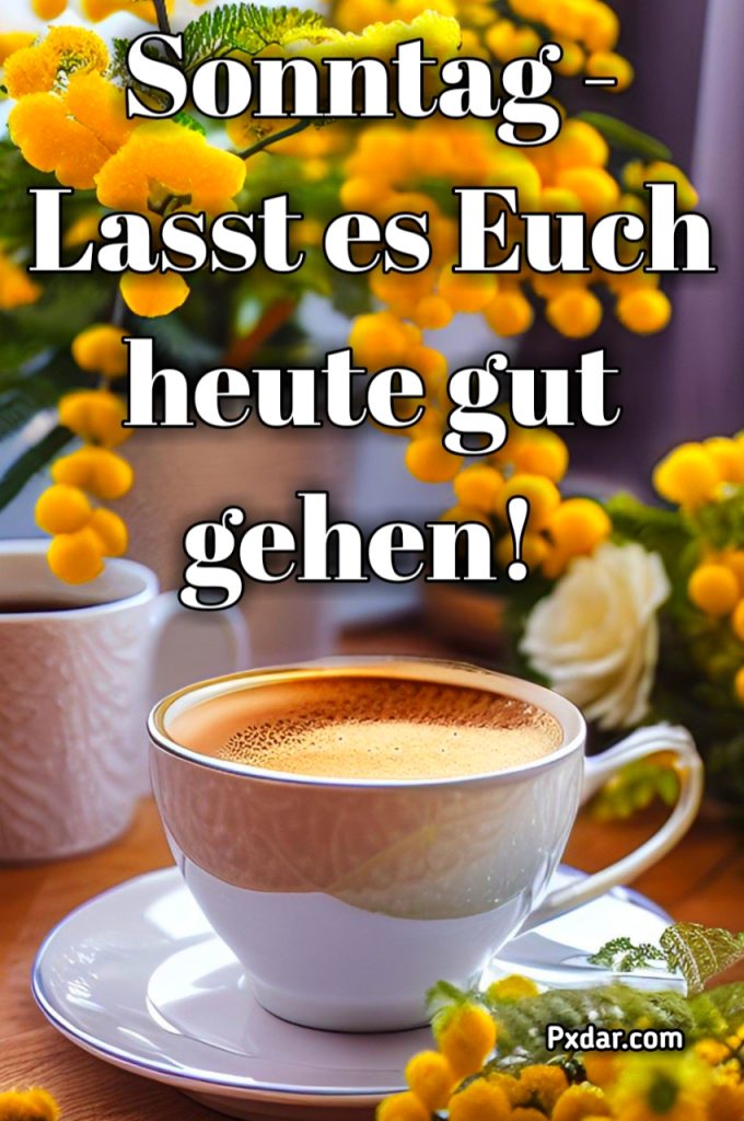 Guten Morgen Einen Schönen Sonntag