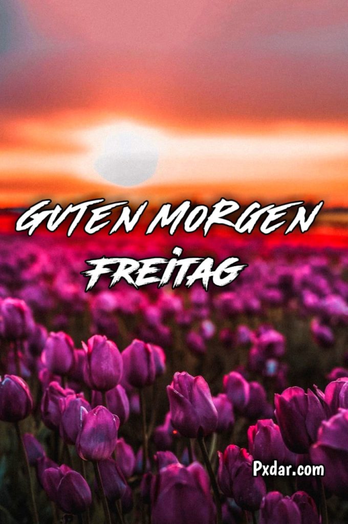 Guten Morgen Freitag Bilder Kostenlos