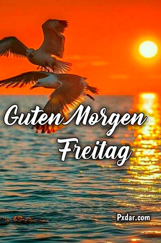 Guten Morgen Freitag Lustig