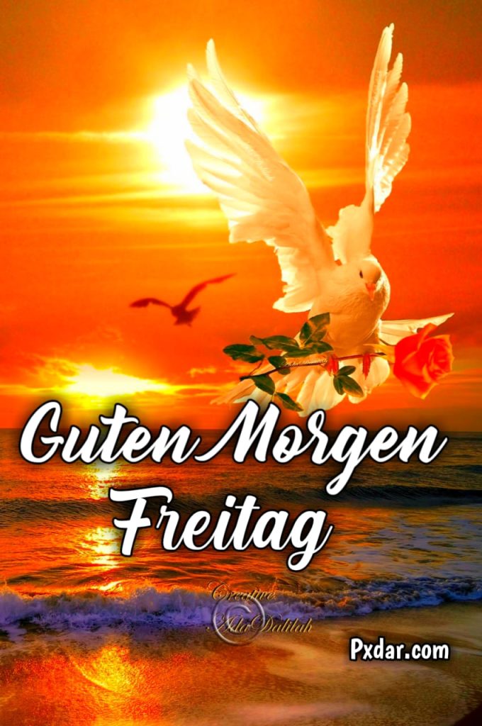 Guten Morgen Freitag Lustig Gif