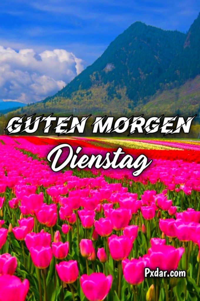 Guten Morgen Gruß Dienstag