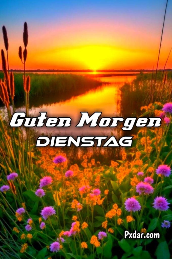 Guten Morgen Gruß Zum Dienstag