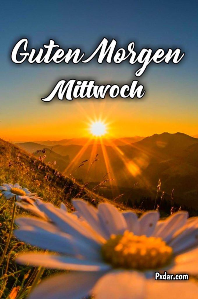 Guten Morgen Grüße Mittwoch