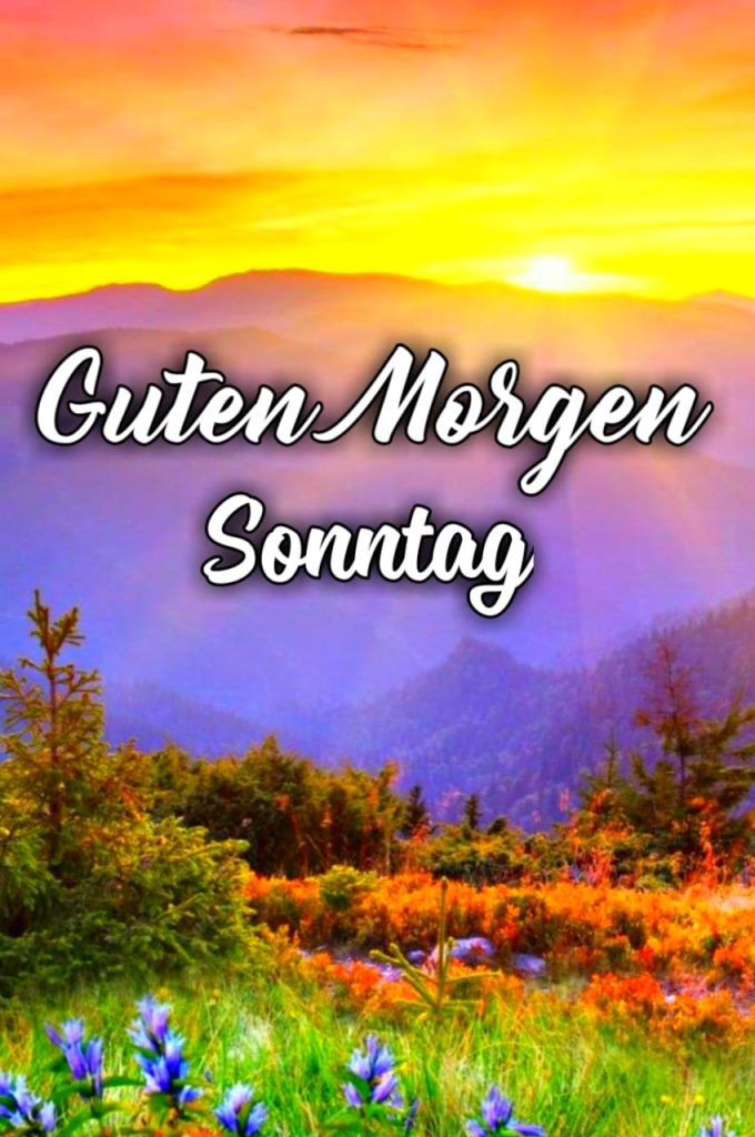 Guten Morgen Grüße Sonntag