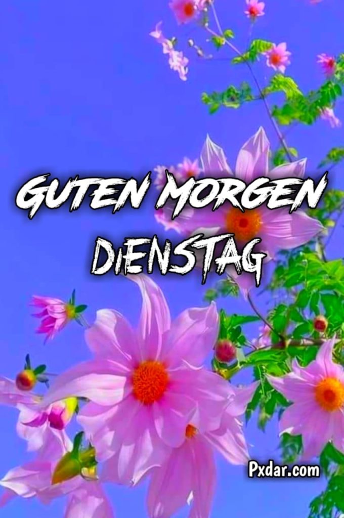 Guten Morgen Grüße Zum Dienstag