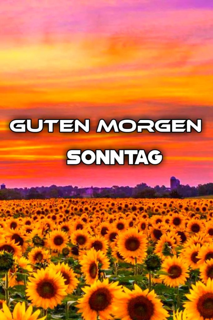 Guten Morgen Herbst Sonntag