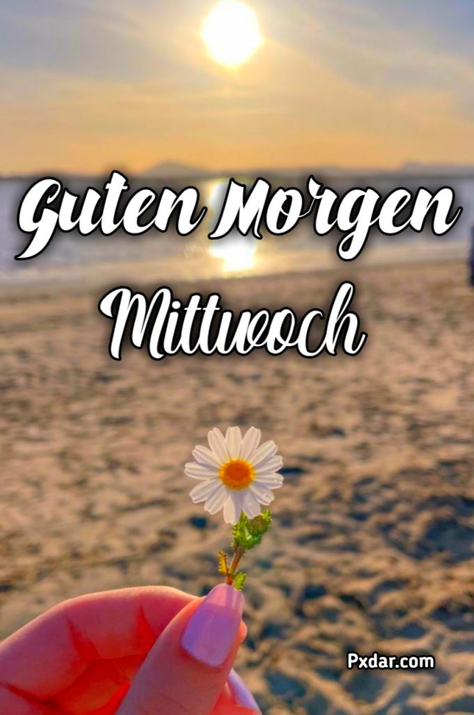 Guten Morgen Mittwoch