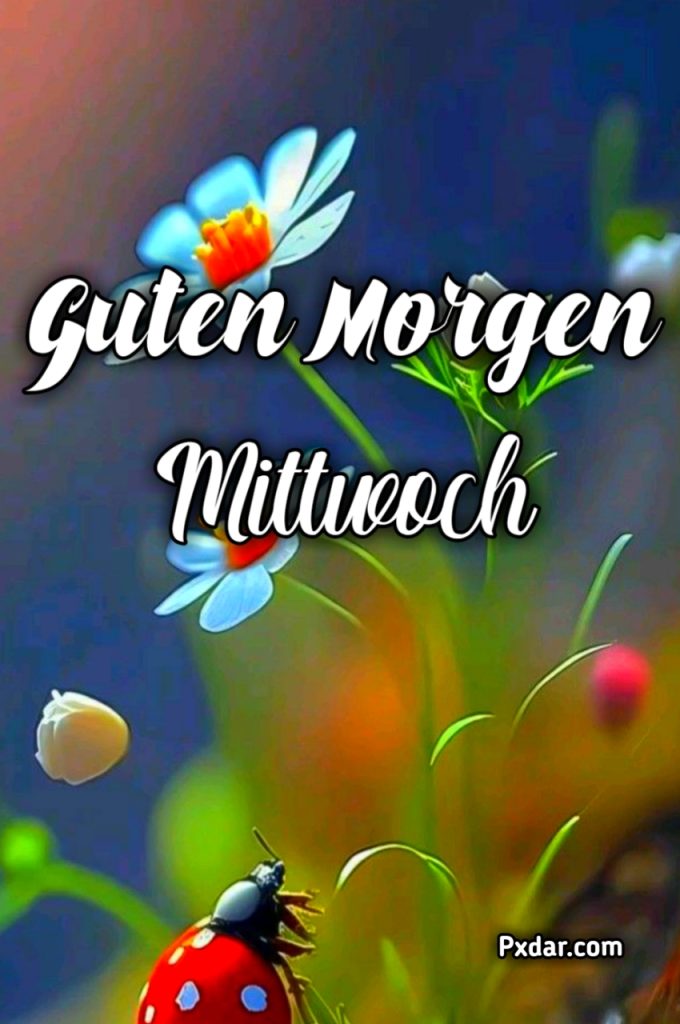 Guten Morgen Mittwoch Bilder Whatsapp Kostenlos