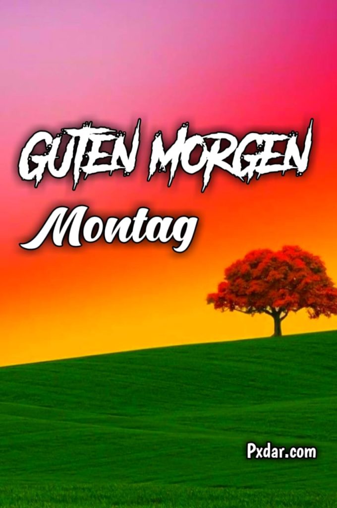 Guten Morgen Montag Bilder Lustig Kostenlos