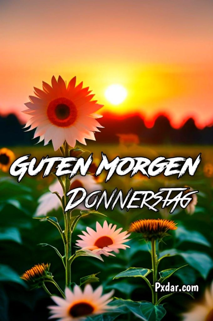 Guten Morgen Schönen Donnerstag Bilder Kostenlos