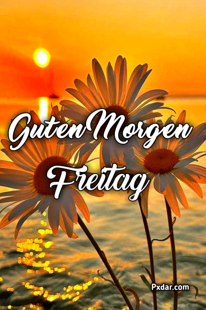 Guten Morgen Schönen Freitag Und Schönes Wochenende