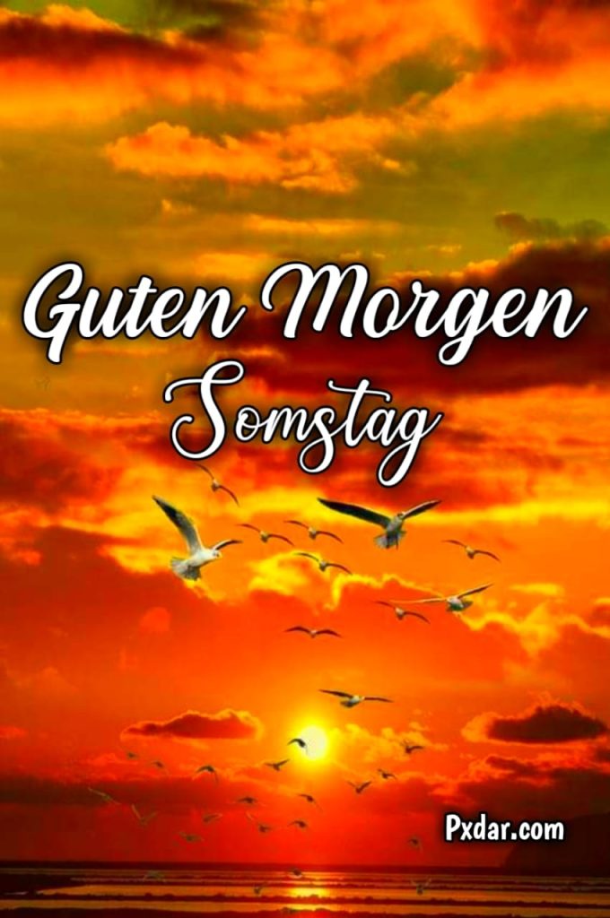 Guten Morgen Schönen Samstag Für Dich