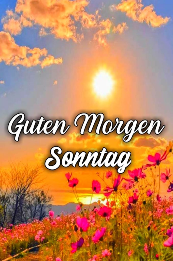 Guten Morgen Schönen Sonntag Bilder