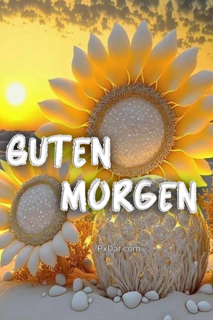 Guten Morgen Sonntag Bilder Kostenlos