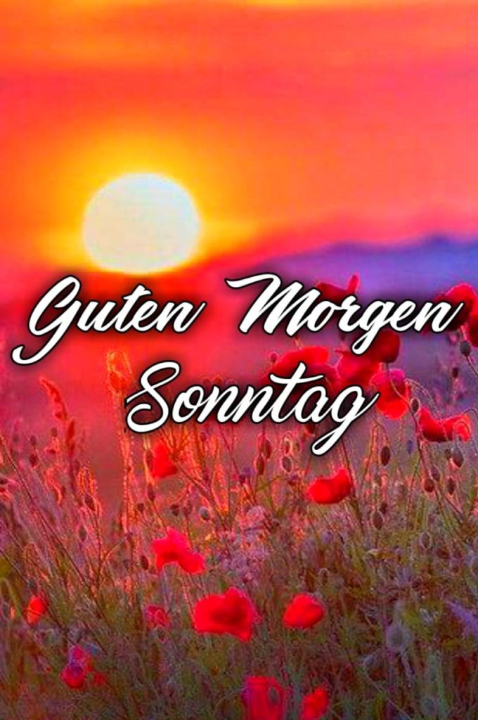 Guten Morgen Sonntag Gif