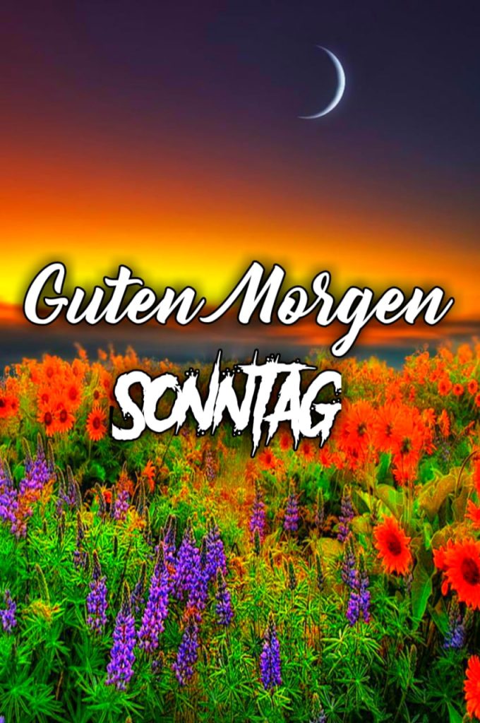 Guten Morgen Sonntag Lustig Kostenlos