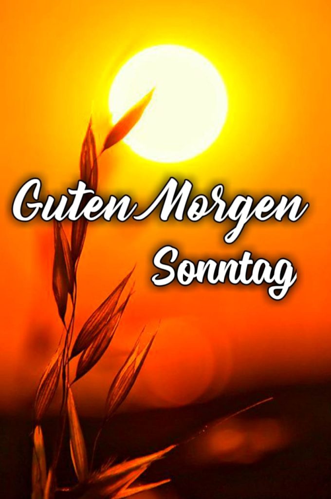 Guten Morgen Sonntag Sonnenschein