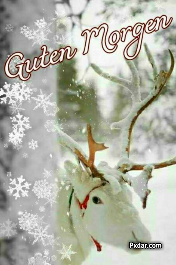 Guten Morgen Winter