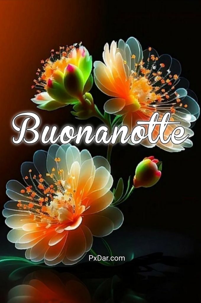 Immagine Buonanotte Speciale