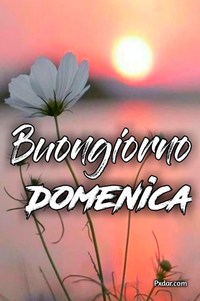 Immagini Bellissime Buongiorno E Buona Domenica