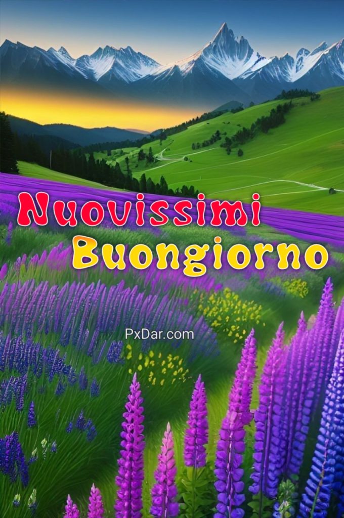 Immagini Bellissime Buongiorno Nuovissimi 2024