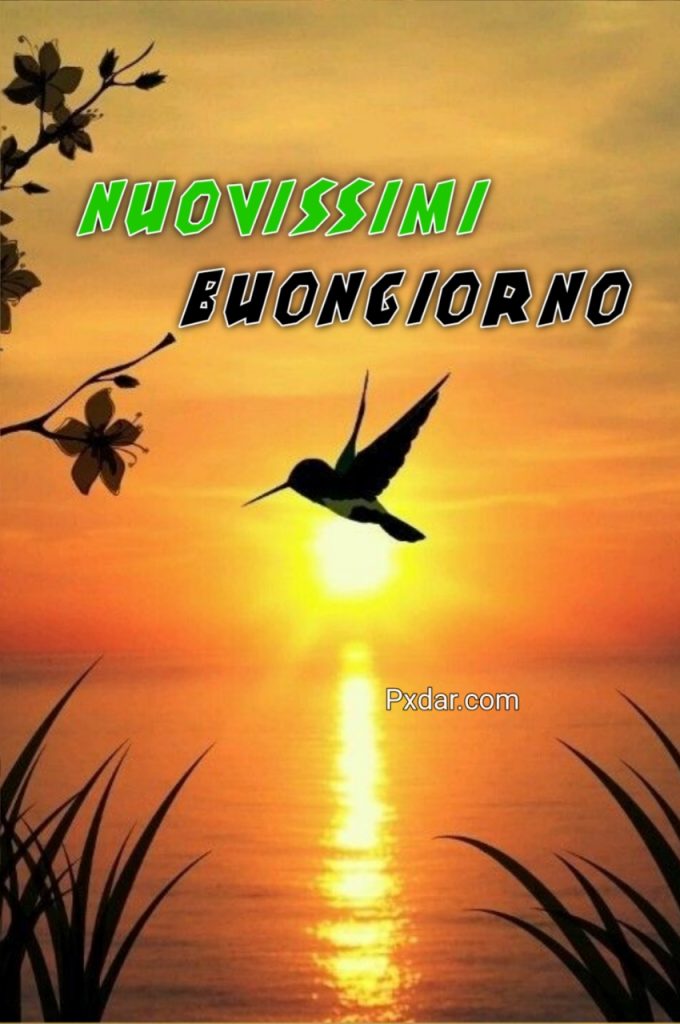 Immagini Bellissime Buongiorno Nuovissimi 2024