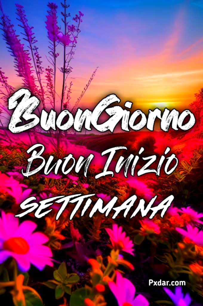 Immagini Buon Inizio Settimana