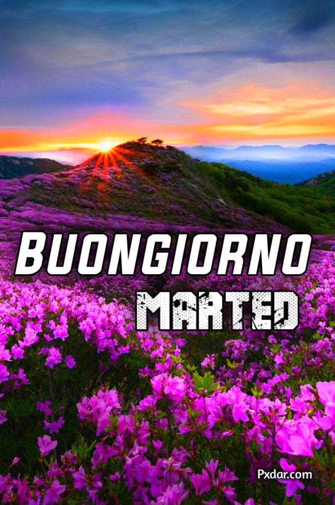 Immagini Buon Martedì