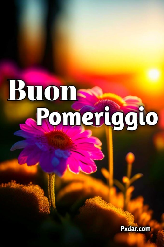 Immagini Buon Pomeriggio