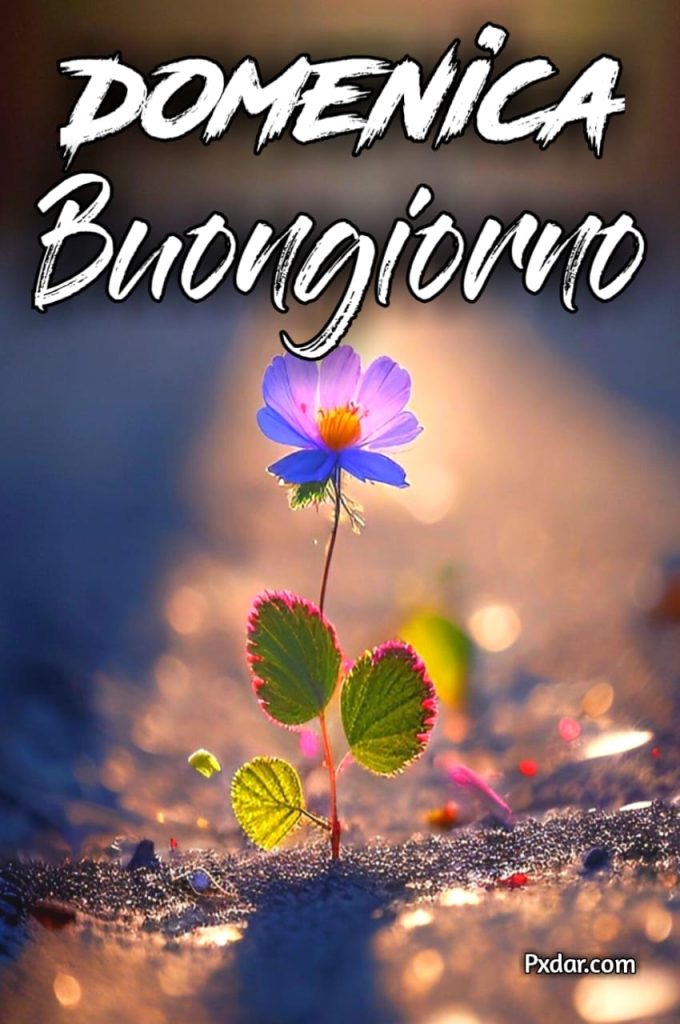 Immagini Buona Domenica Nuove