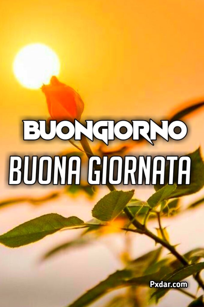 Immagini Buona Giornata Dicembre