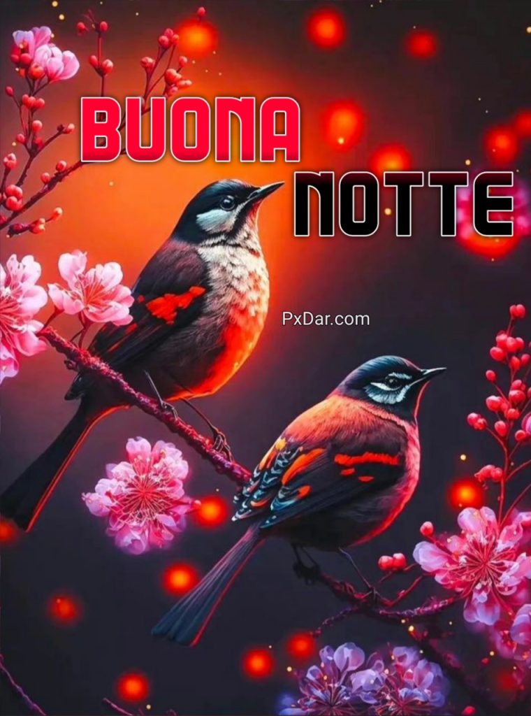 Immagini Buona Notte