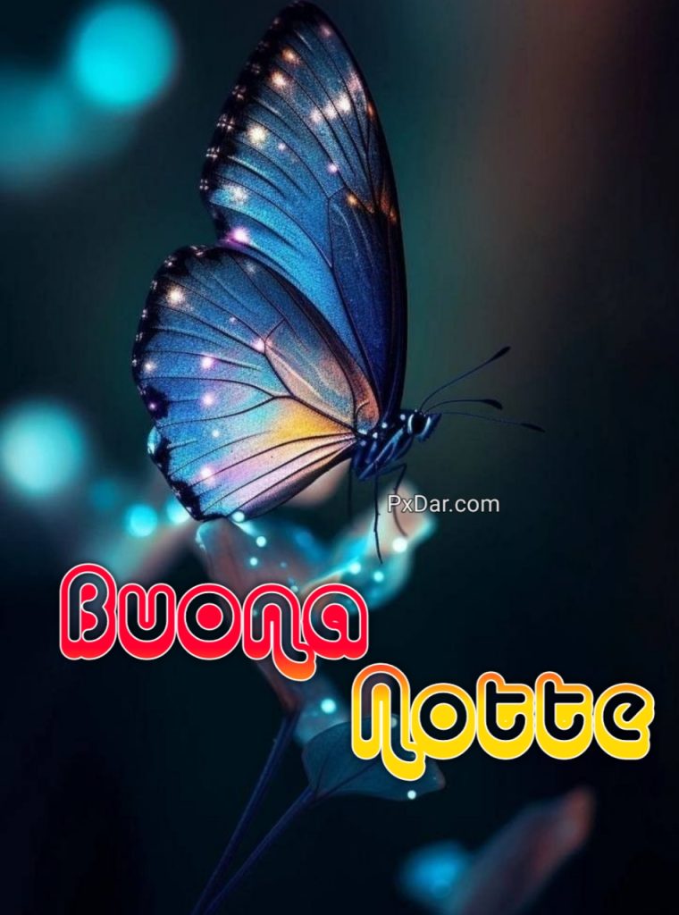 Immagini Buonanotte