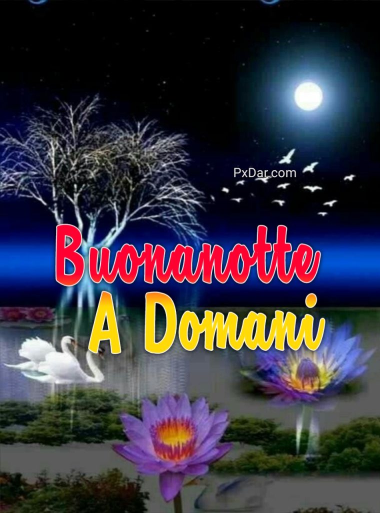 Immagini Buonanotte A Domani