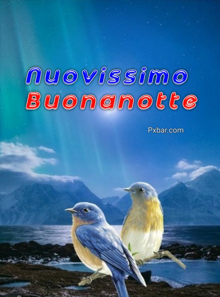 Immagini Buonanotte Gratis